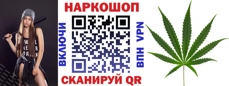 Меф Кинешма