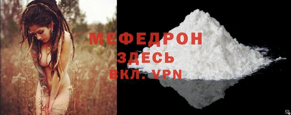 мдпв Богородицк