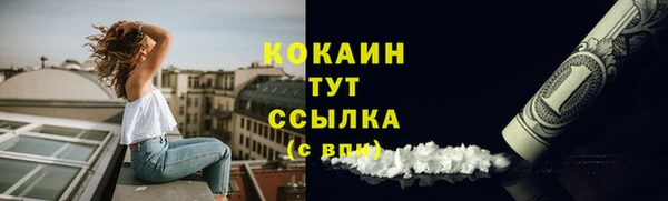 мдпв Богородицк