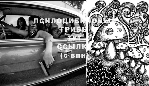 трава Богданович
