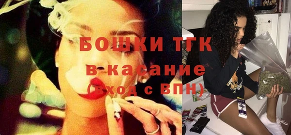 мдпв Богородск