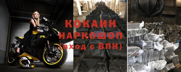 мдпв Богородск