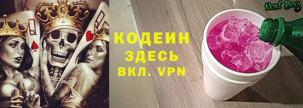 мдпв Богородицк